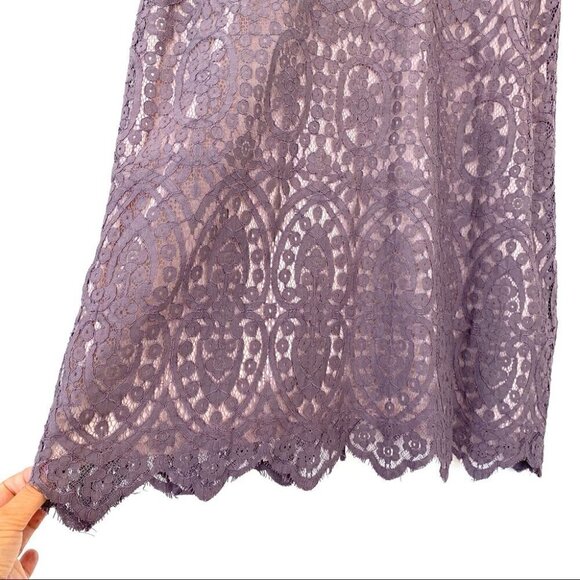 Pinkblush lace midi  dress with crew neck and v-back - Picture 5 of 11